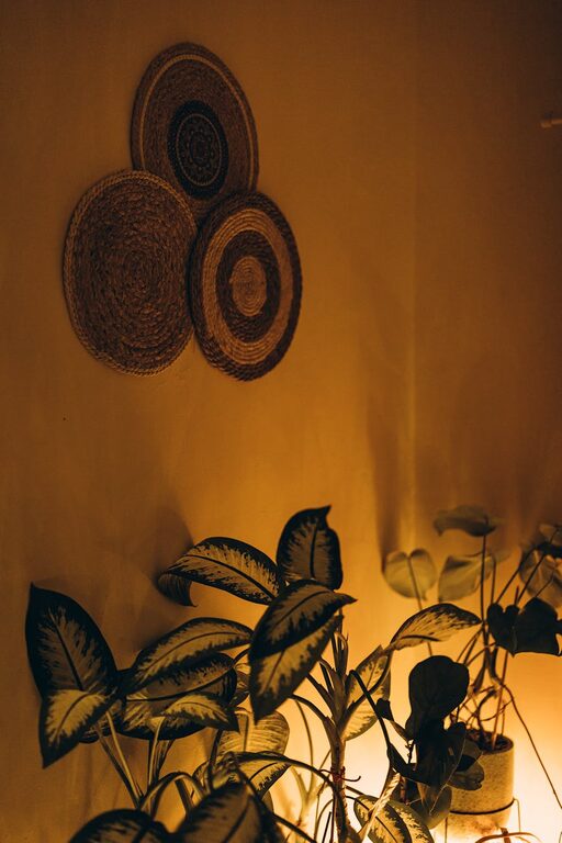 Simple Tips for Creating a Cozy and Inviting Home Environment